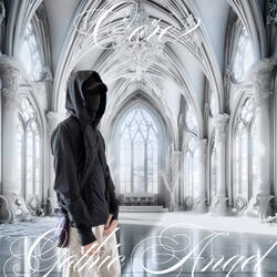 сэйв зэт щит