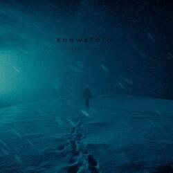 Snowstorm