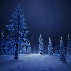 First Snow