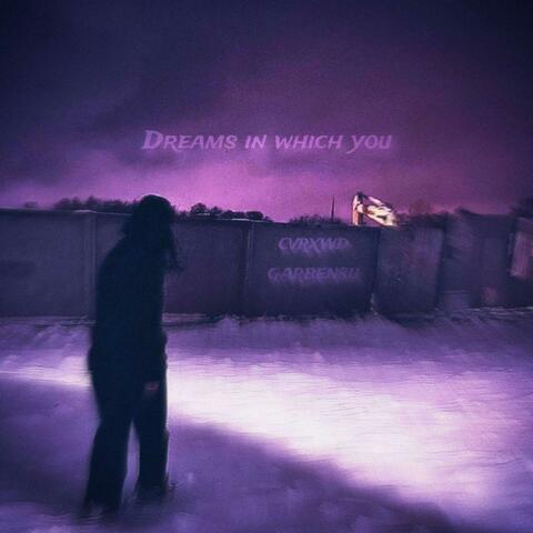 Dreams in which you