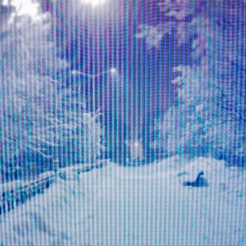 Winter's Echo