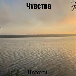 Чувства