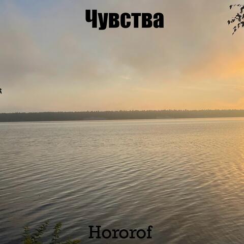 Чувства