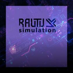 simulation