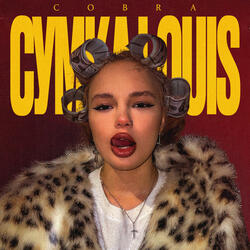 СУМКА LOUIS