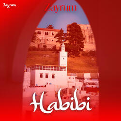 Habibi
