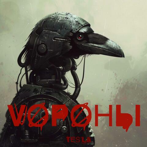 Voроны