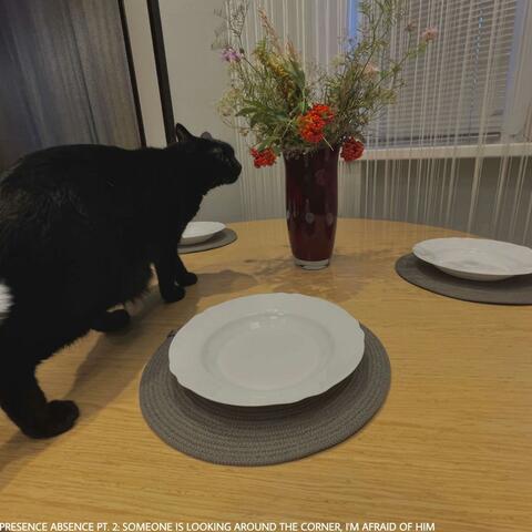 Presence Absence. Pt. 2: Someone is Looking Around the Corner, I'm Afraid of Him