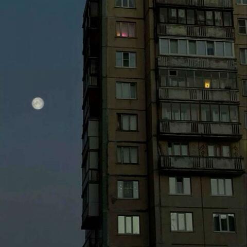 Холодным утром