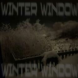 winter window