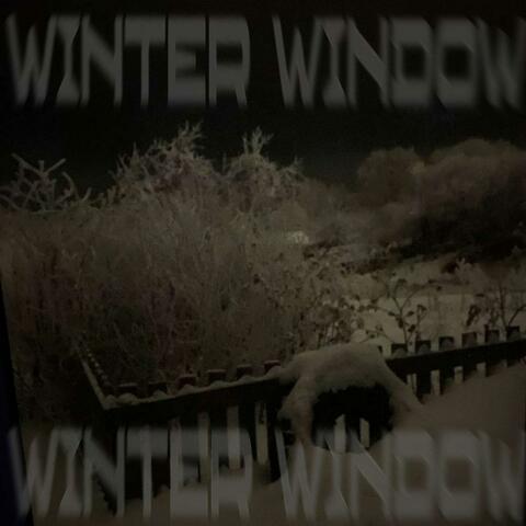 winter window