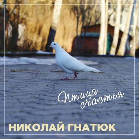 Птица счастья