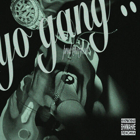 yo gang ..