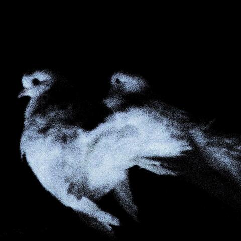 Давай Вместе Засыпать