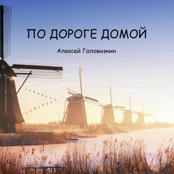 По дороге домой