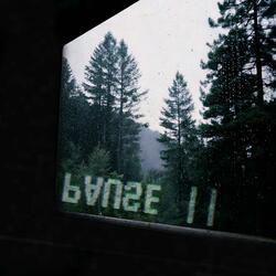 bvnse