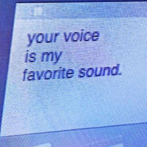 Your Voice