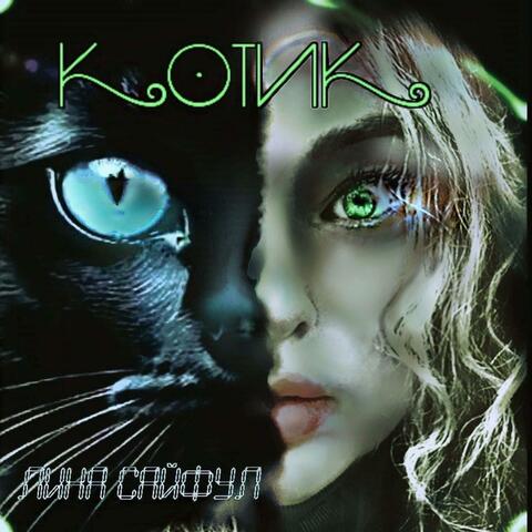 Котик
