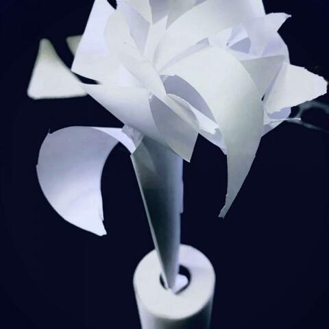 Paper Rose