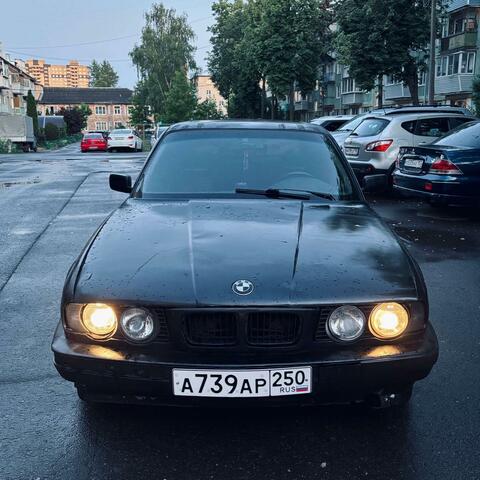 Щитковый вор