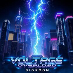 VOLTAGE OVERLOAD