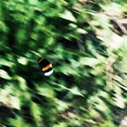 мне страшно