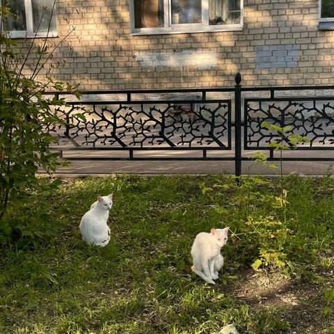Не важно