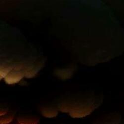 Explode