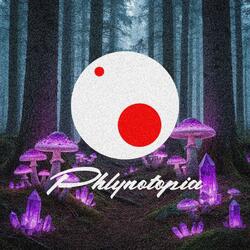 Phlynotopia