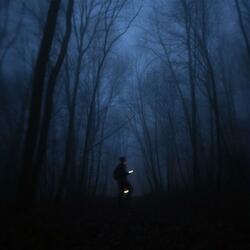 through the memories