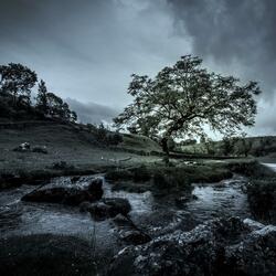 Emotional Inspiration