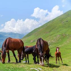 Emotional Strings and Piano
