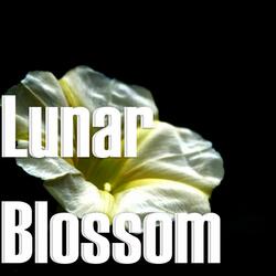 Lunar Blossom