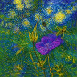 Элегия души