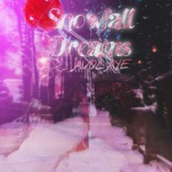snowfall dreams