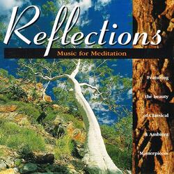 String Quintet in A Major, Op. 11, No. 5: III. Minuetto