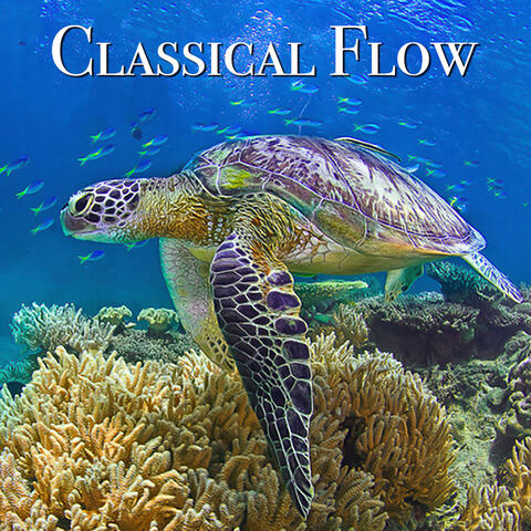 Classical Flow