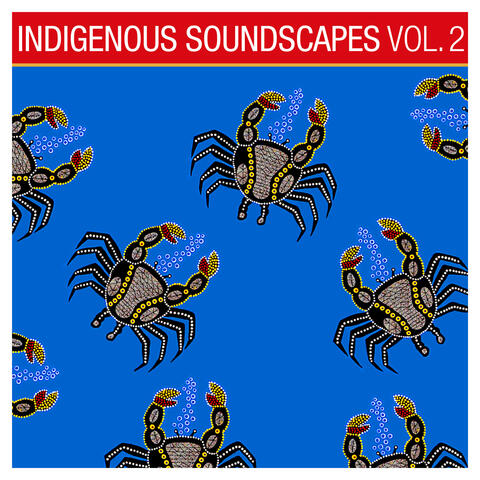 Indigenous Soundscapes, Vol. 2