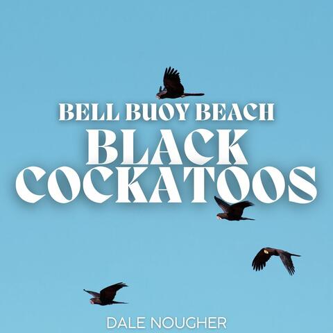 Bell Buoy Beach Black Cockatoos