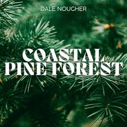 Coastal Pine Forest