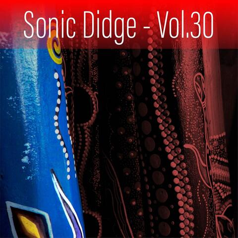 Sonic Didge, Vol. 30