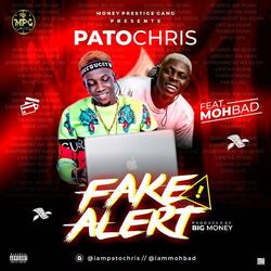 Fake Alert