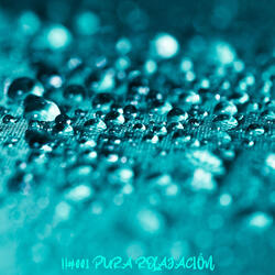 Caribbean Thunderstorm in the Jungle