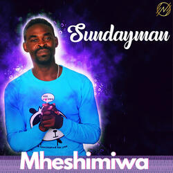 Mheshimiwa