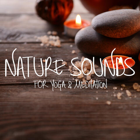 Nature Sounds for Yoga & Meditation