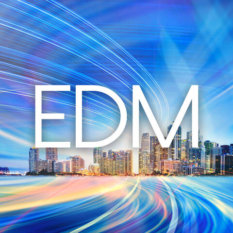 EDM / House / Techno / 2015