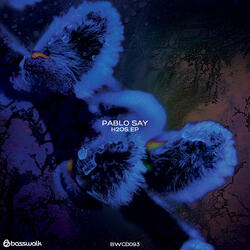 I've Decided Undergrounds