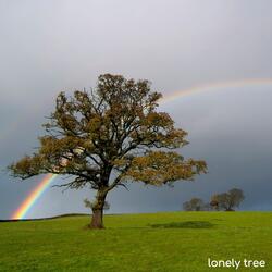 Lonely Tree
