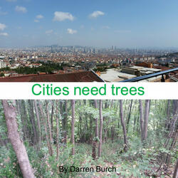 Cities Need Trees
