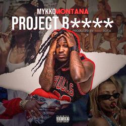 Project B****